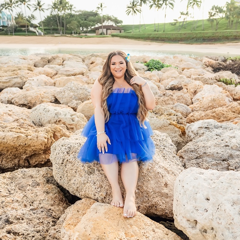 NEW Blue Tulle Dress